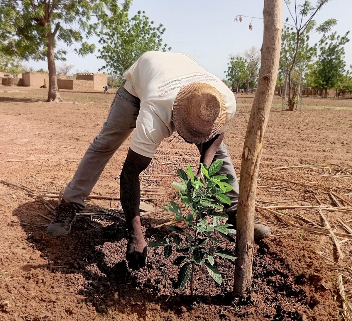 reboisement route Guie 2025